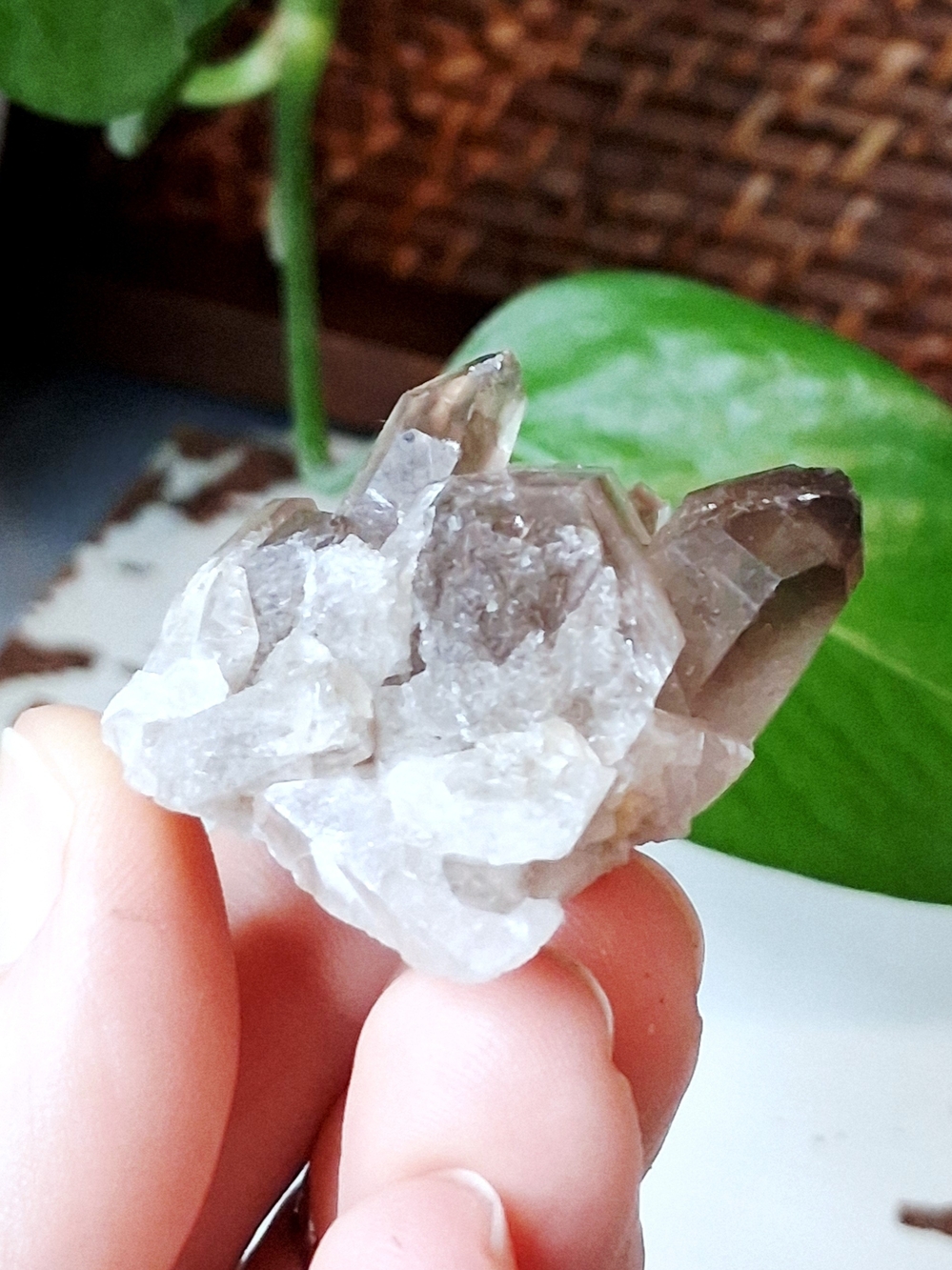 Smoky Quartz Cluster Decorative Accent - Natural Crystal